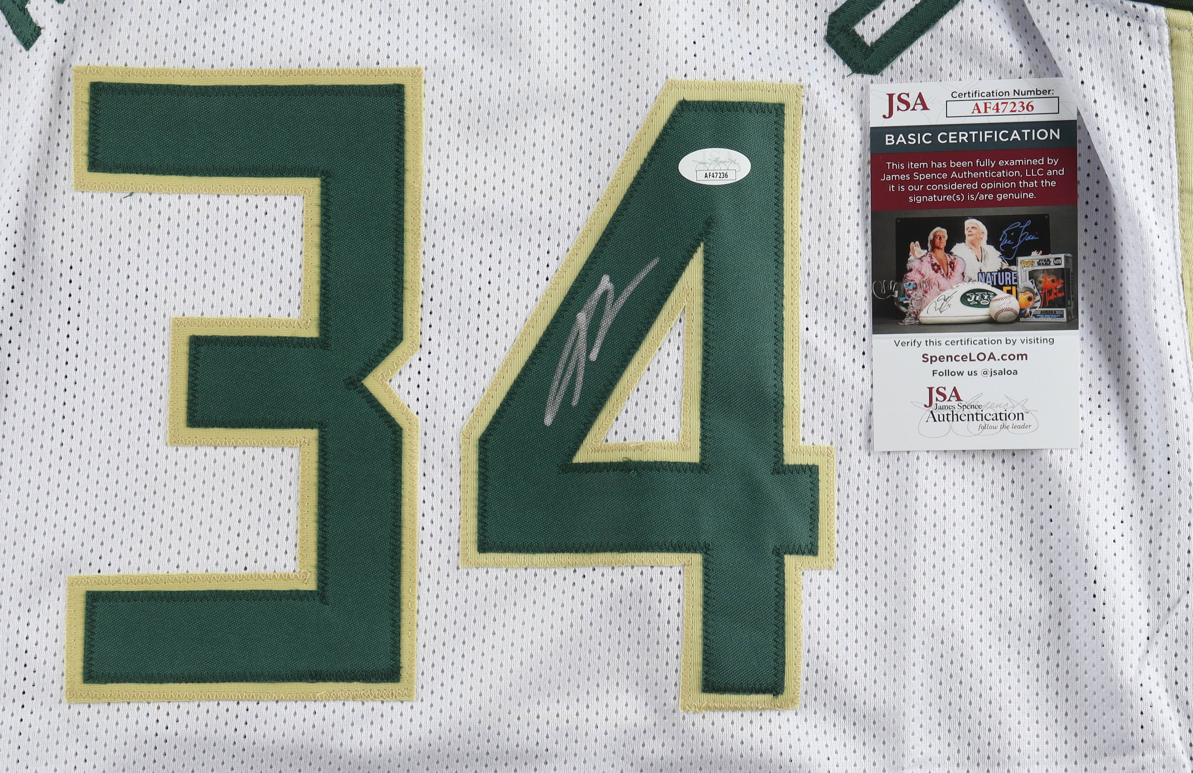 Giannis Antetokounmpo signed Milwaukee Bucks jersey
