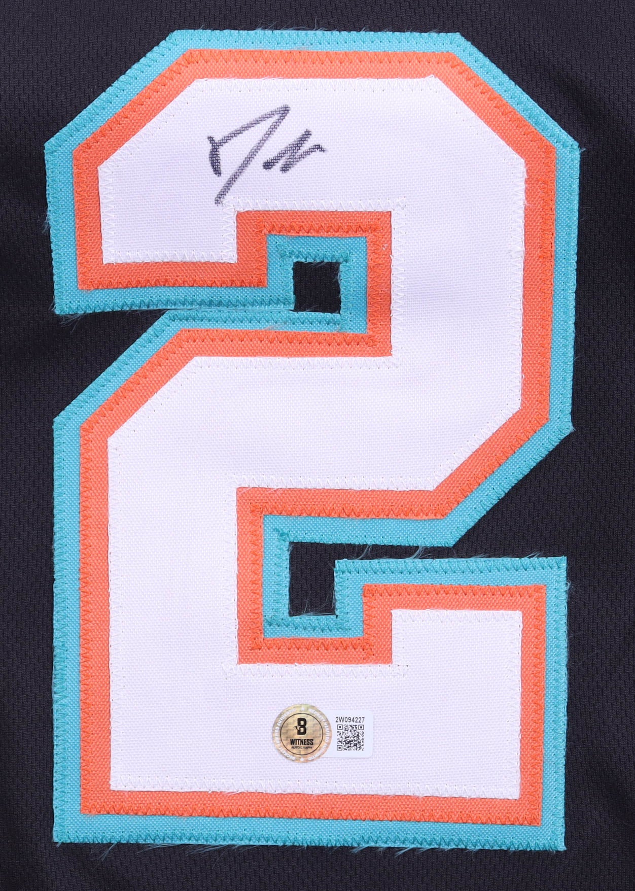 JASON WILLIAMS SIGNED GRIZZLIES JERSEY